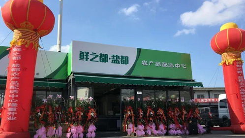 重磅 上海鹽都商會在黃浦江畔成立