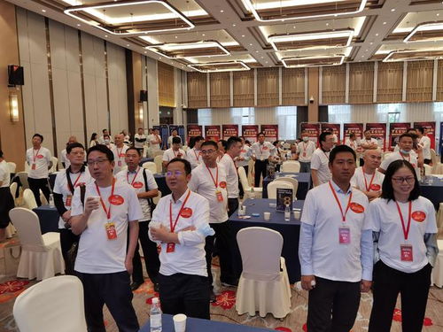 喜迎盛會向未來 宜昌市江蘇商會第三屆摜蛋邀請賽落帷