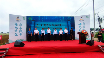 江蘇銅山棠張鎮(zhèn):桑果飄香綴滿枝 農(nóng)文旅融合品牌響