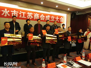 抱團發(fā)展正當時 衡水市江蘇商會正式成立