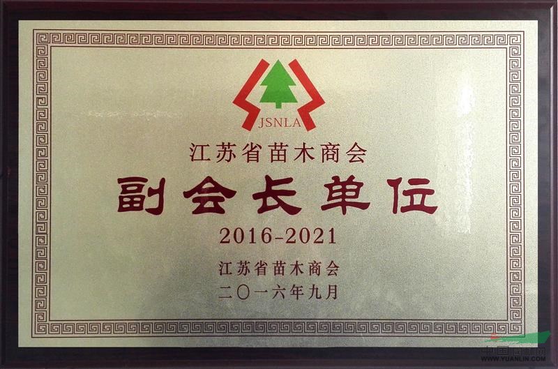 寧波商會成立品及會員標(biāo)識牌制作服務(wù)——上海典士工藝品助力江蘇商會