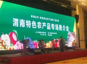 陜閩合作渭南特色農(nóng)產(chǎn)品推介會 山東商會與江蘇商會共推區(qū)域經(jīng)濟(jì)協(xié)同發(fā)展